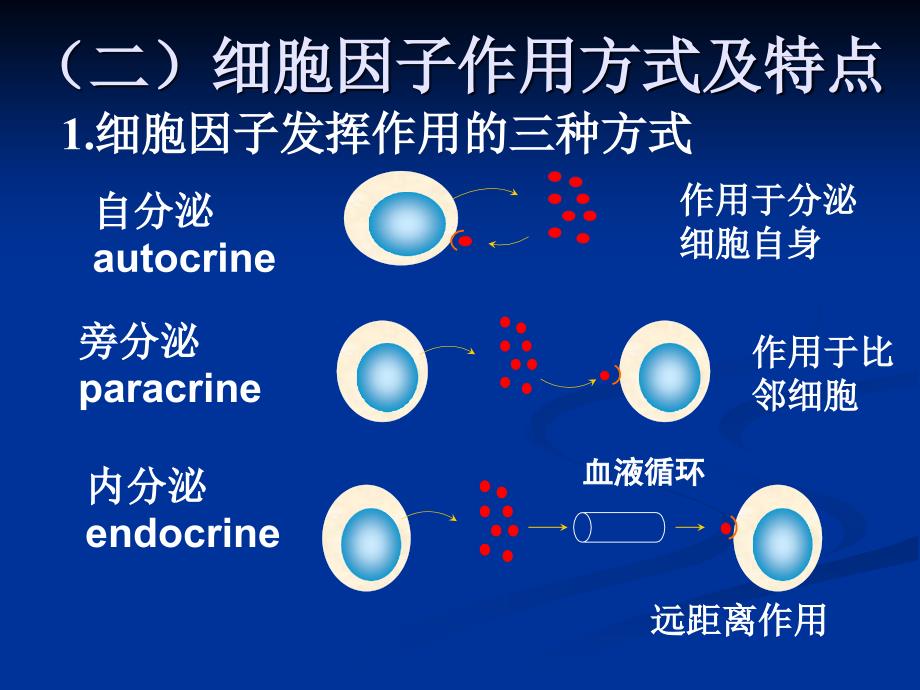 第六章-细胞因子-Cytokine课件_第4页