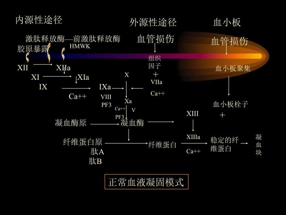 抗凝药物在肾脏疾病中的合理应用_第5页