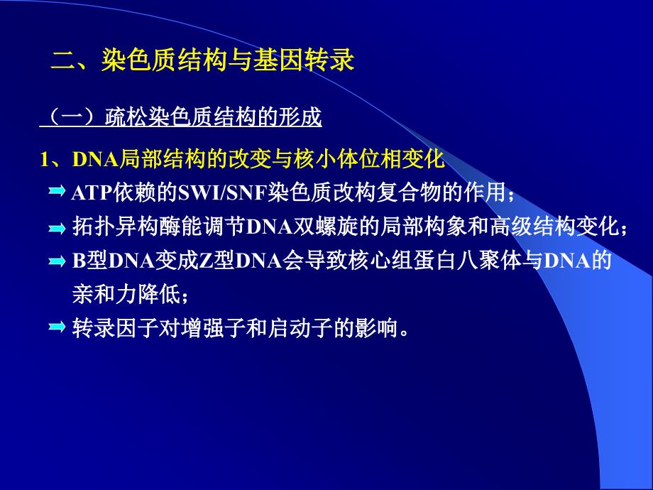 医学课件第五节染色质结构和基因转录_第3页