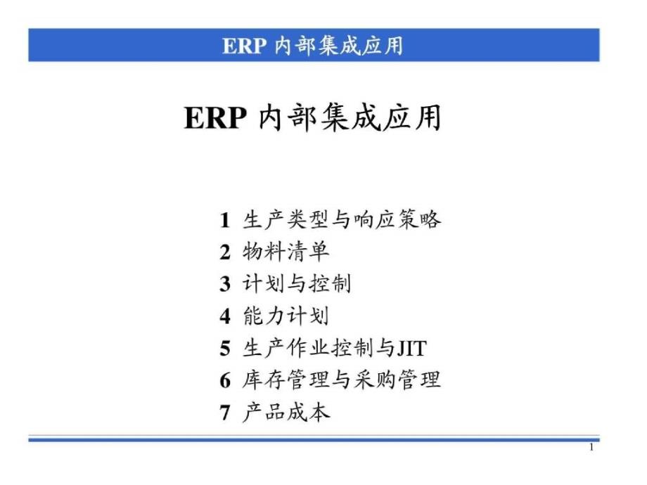 ERP内部集成应用_第1页