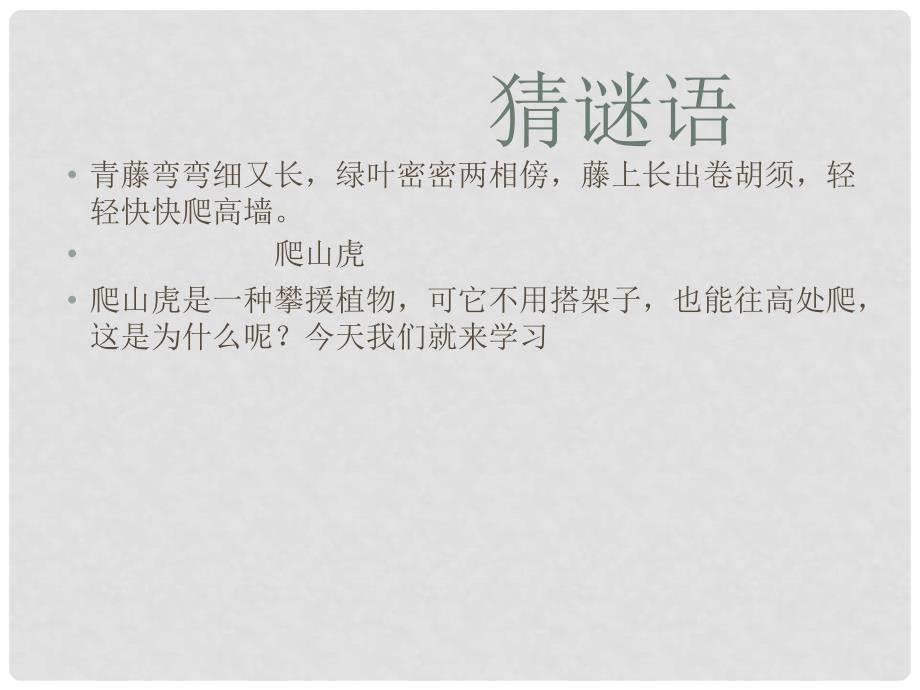 三年级语文下册《爬山虎的脚》课件3 北京版_第1页