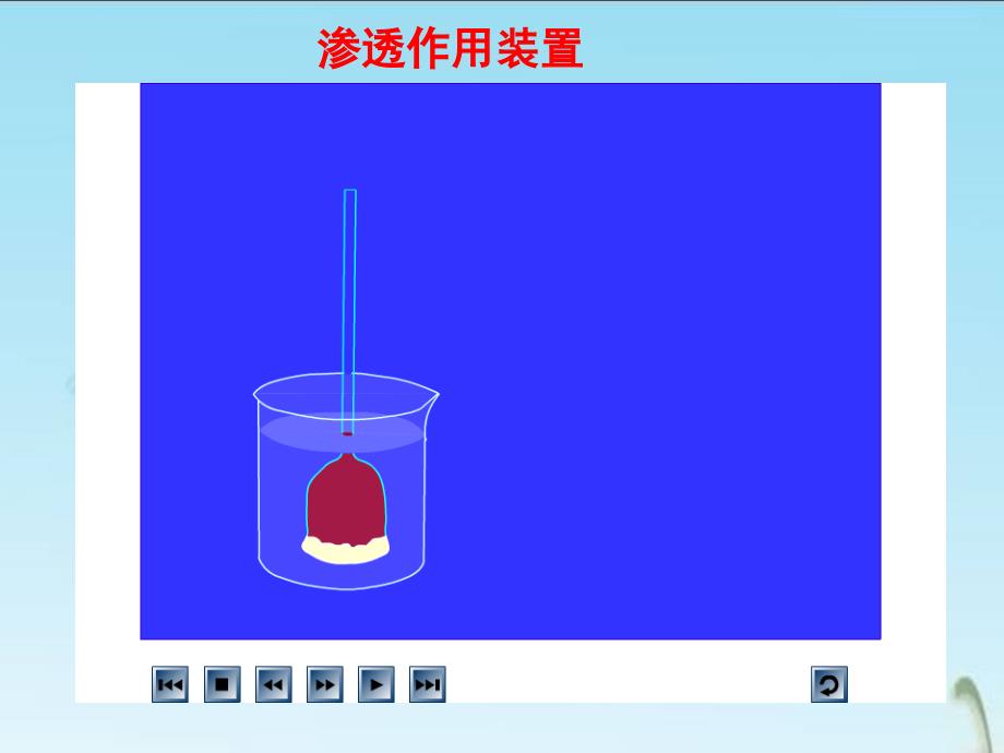 高中生物一轮复习必修1——4142跨膜运输的实例_第3页