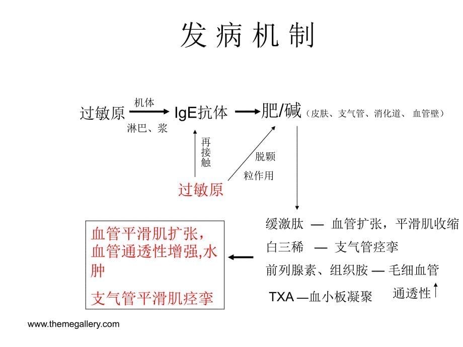 过敏性休克PPT课件_第5页