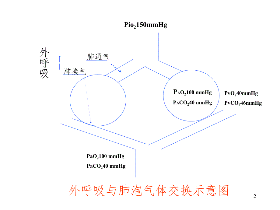 呼吸功能不全-呼吸衰竭课件_第2页