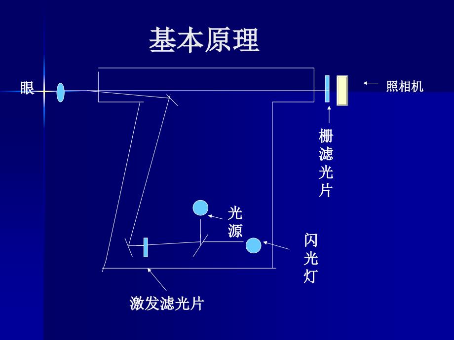 眼底血管造影术总论_第3页