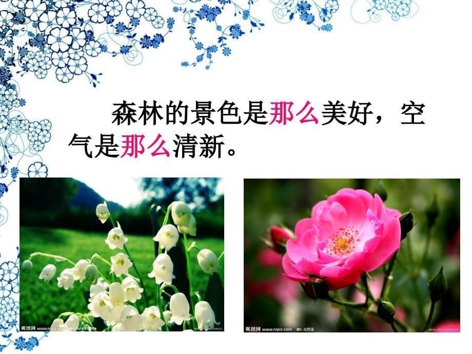 《我不是最弱小的孙》PPT课件.ppt_第5页