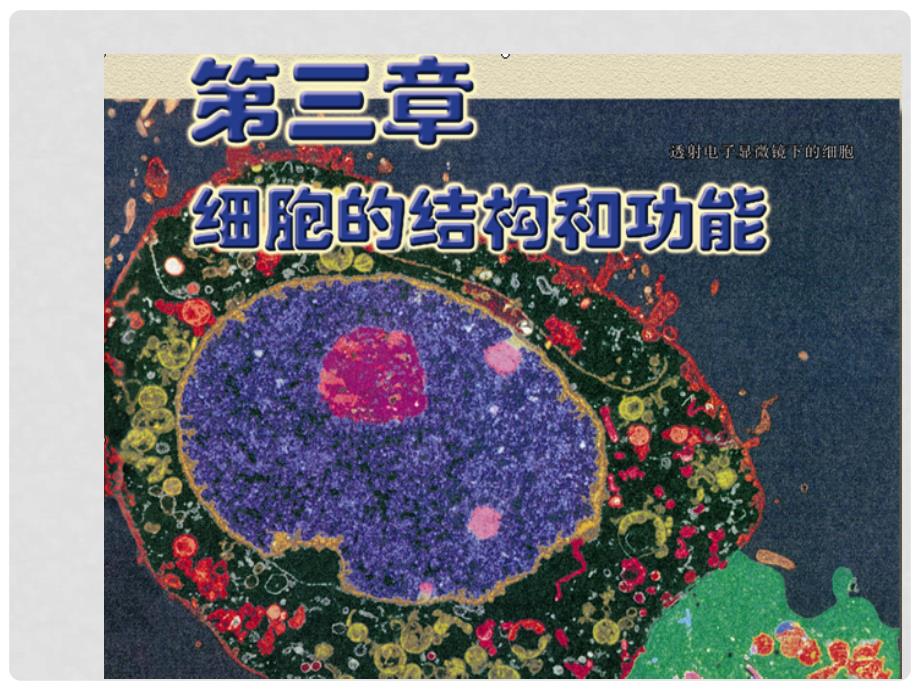 高中生物：生命活动的基本单位细胞 课件苏教版必修1_第1页