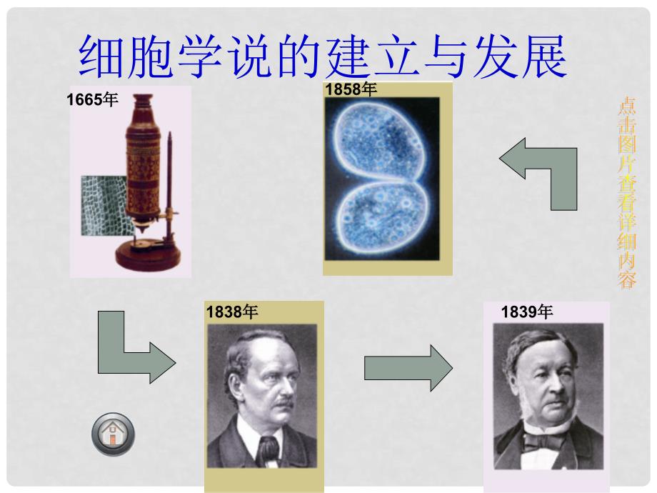 高中生物：生命活动的基本单位细胞 课件苏教版必修1_第4页