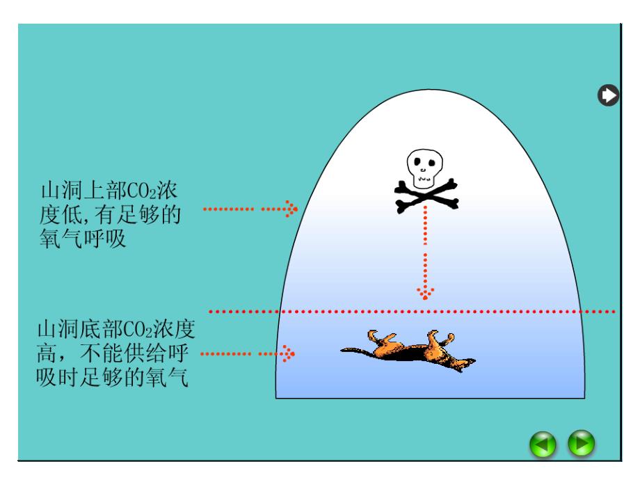 奇妙的二氧化碳_第3页