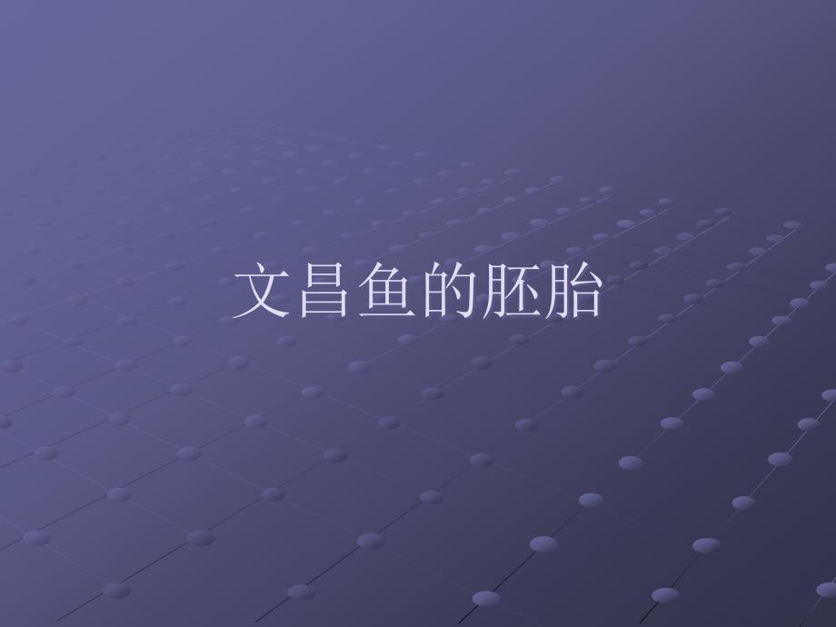 文昌鱼的胚胎_第1页