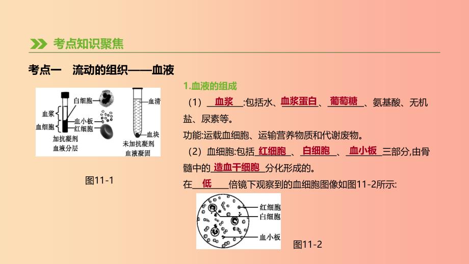 内蒙古包头市2019年中考生物 第四单元 生物圈中的人 第11课时 人体内物质的运输复习课件.ppt_第3页