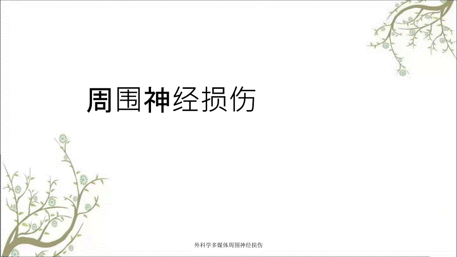 外科学多媒体周围神经损伤_第1页