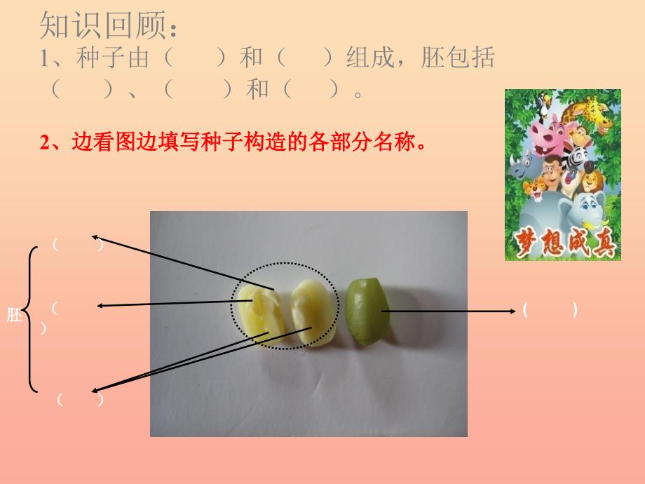 四年级科学下册 2 新的生命 6 动物的卵课件2 教科版_第1页