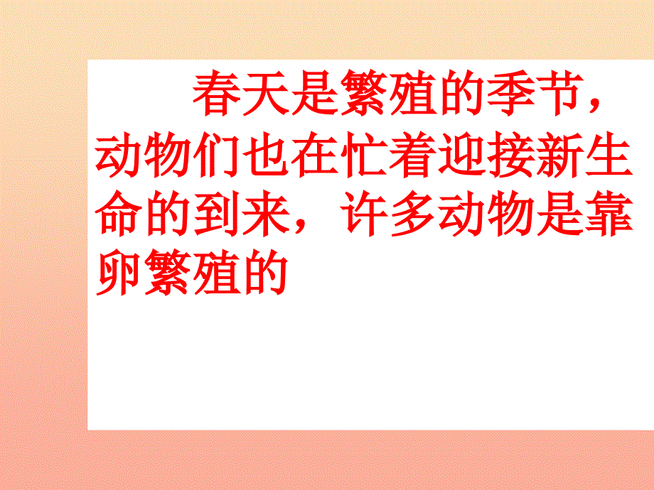 四年级科学下册 2 新的生命 6 动物的卵课件2 教科版_第2页