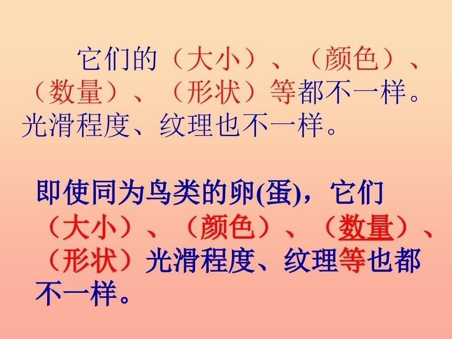 四年级科学下册 2 新的生命 6 动物的卵课件2 教科版_第5页