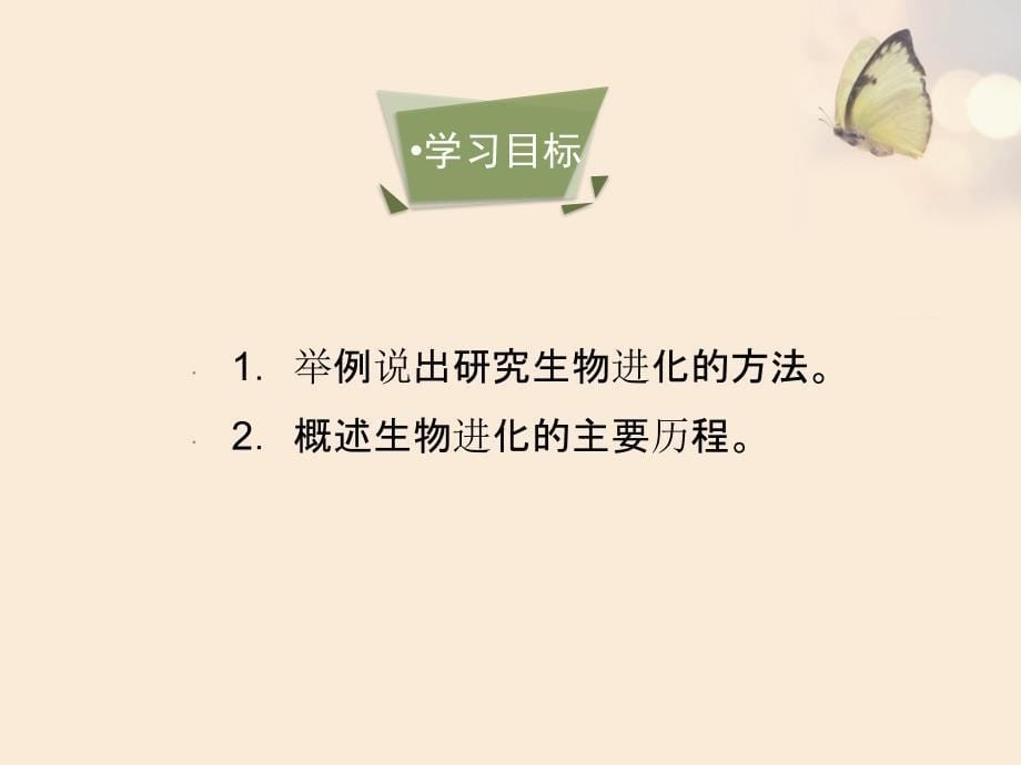 732生物进化的历程课件_第5页