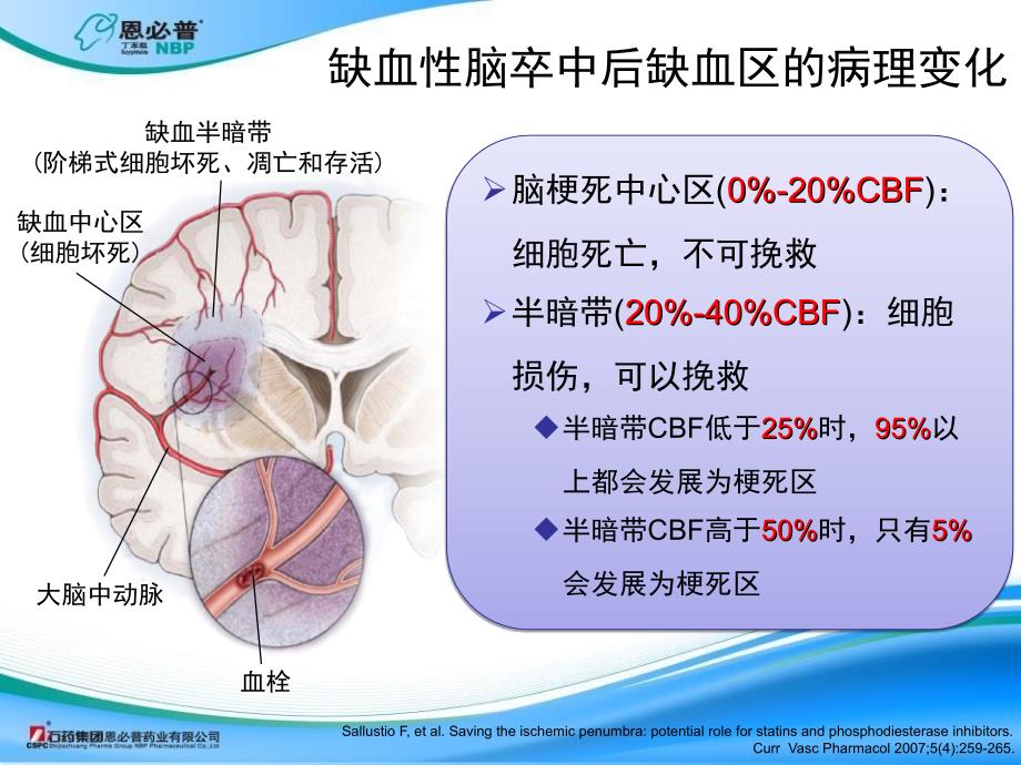 丁苯酞作用机制_第3页