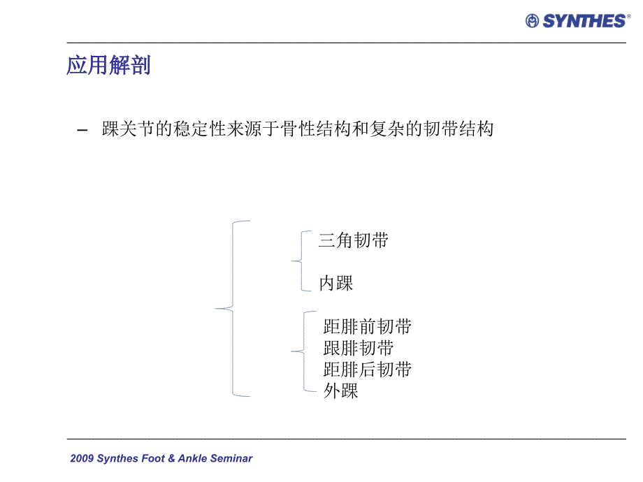 《踝关节骨折分类》PPT课件_第2页