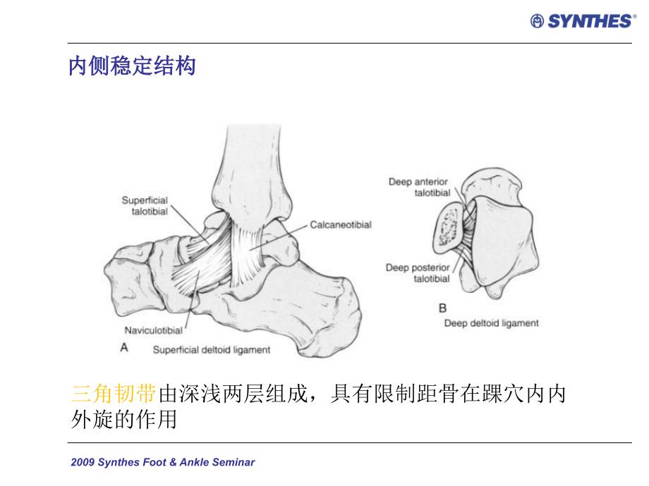 《踝关节骨折分类》PPT课件_第3页