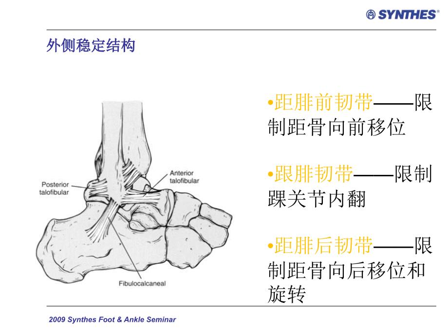 《踝关节骨折分类》PPT课件_第4页