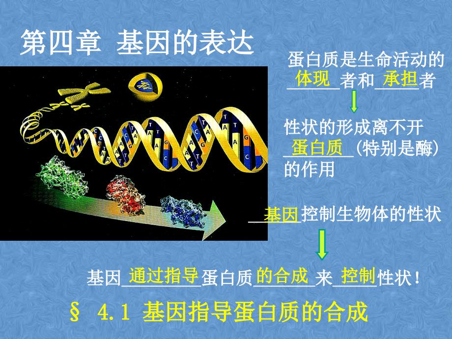 生物41基因指导蛋白质的合成课件3新人教版必修2_第2页