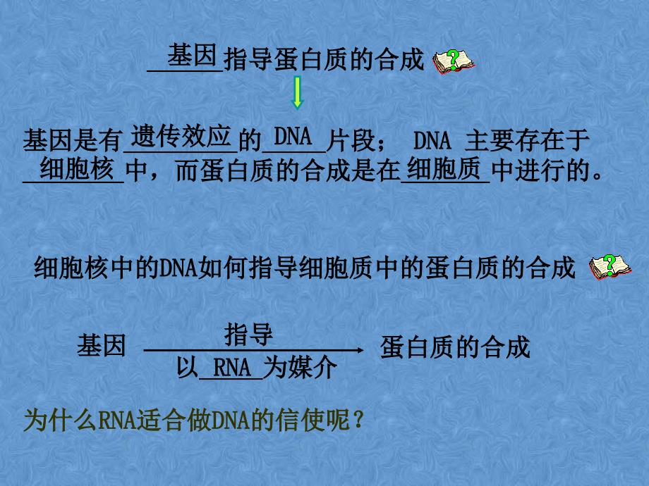 生物41基因指导蛋白质的合成课件3新人教版必修2_第3页