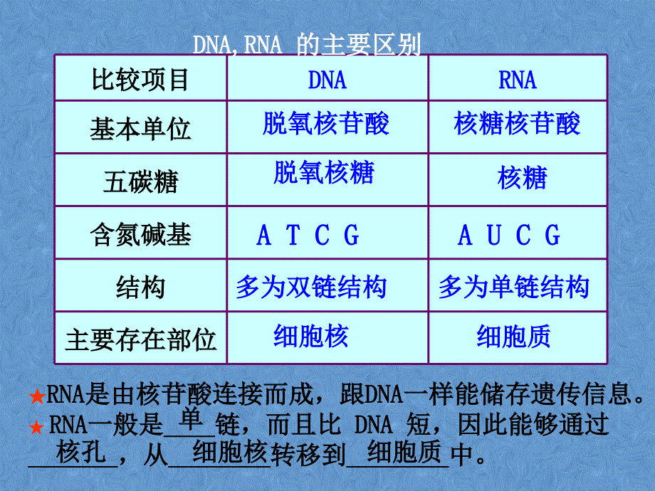 生物41基因指导蛋白质的合成课件3新人教版必修2_第4页