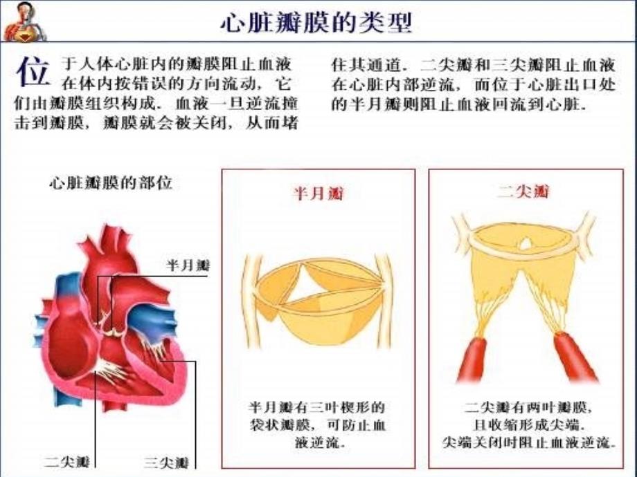 风心病及术前术后护理_第3页