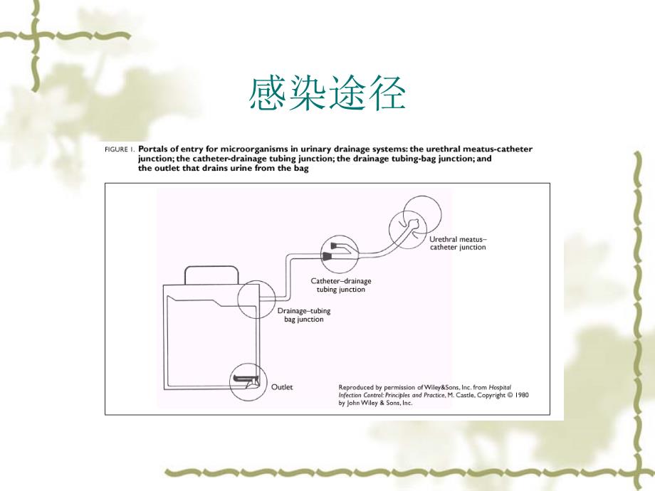 导尿管相关尿路感染2PPT文档_第4页