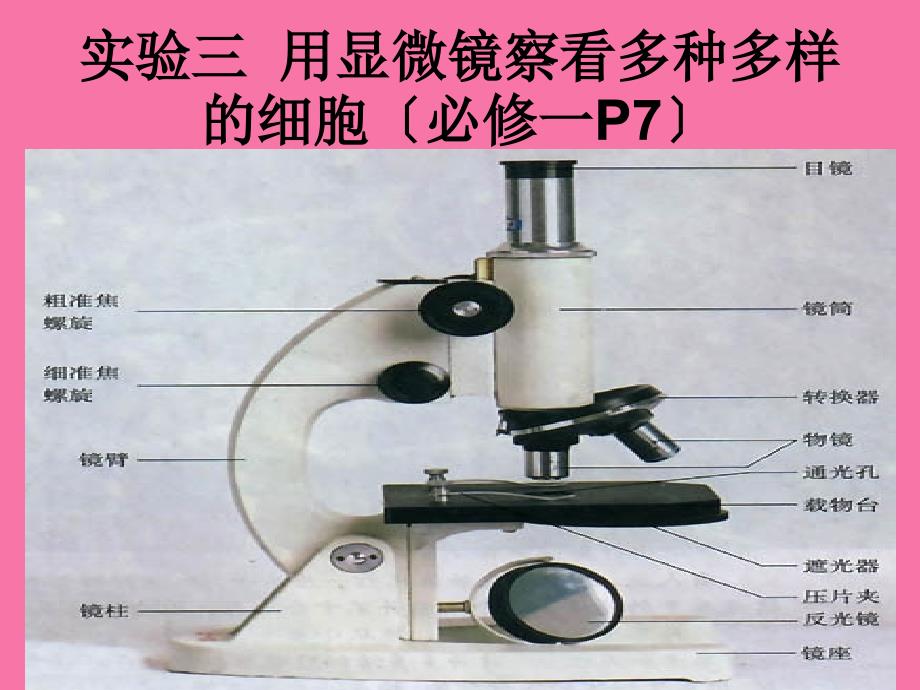 生物实验易错题专题复习ppt课件_第2页