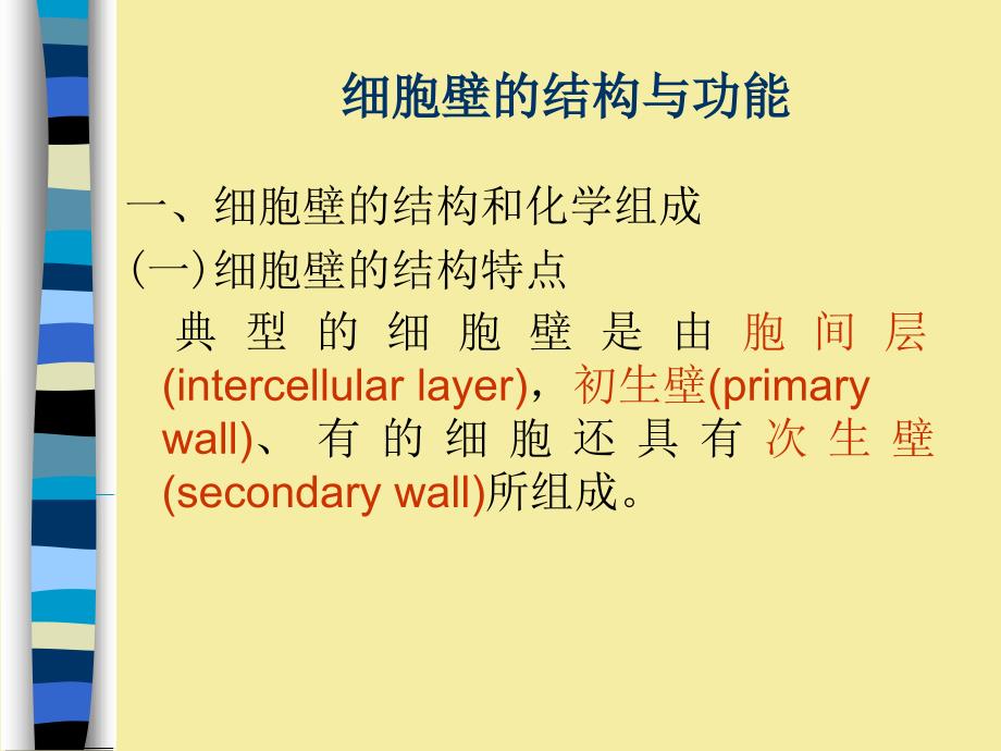 《细胞壁与酶》PPT课件_第3页