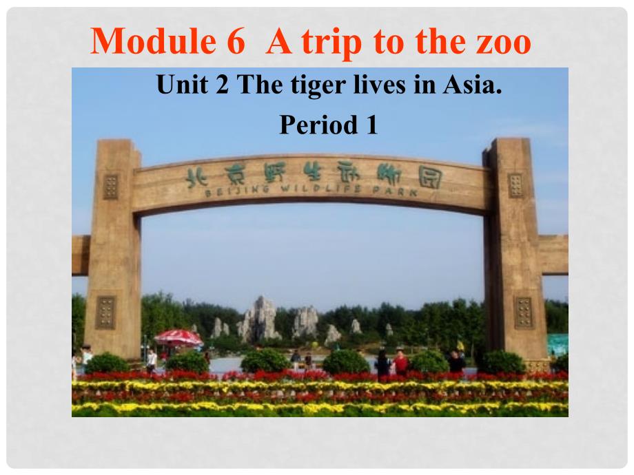 浙江省温州市苍南县龙港镇第二中学七年级英语上册《Module 6 A trip to the zoo Unit 2 The tiger lives in Asia》课件1 （新版）外研版_第1页