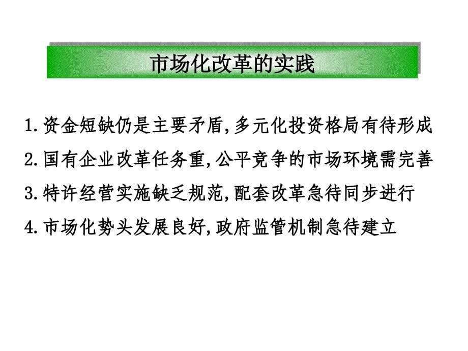 市政公用行业市场化及实践研究报告_第5页