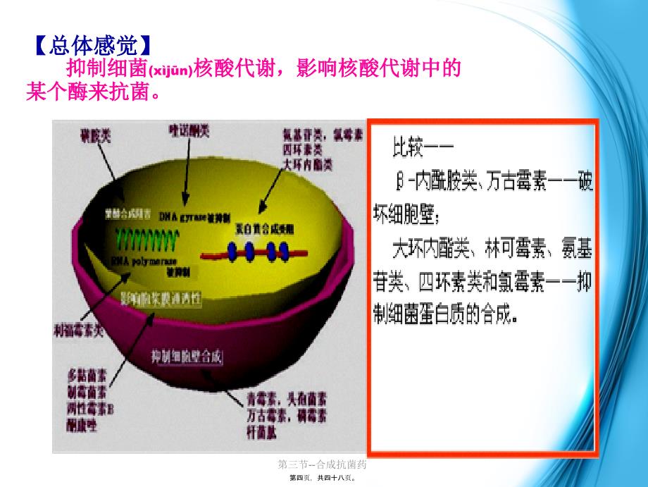 第三节--合成抗菌药课件_第4页