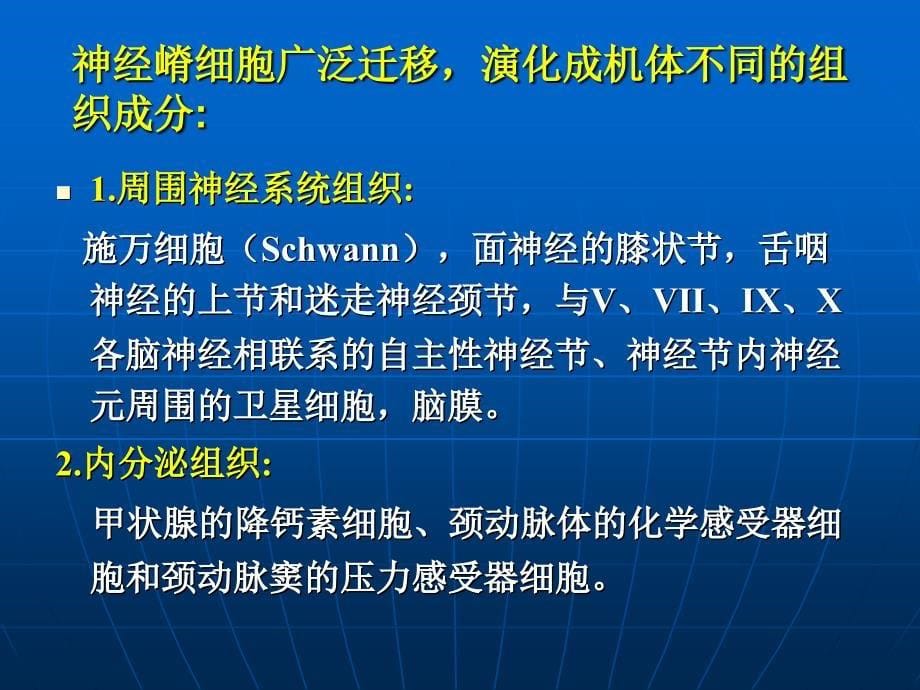 口腔颌面部发育(杜长青).ppt_第5页