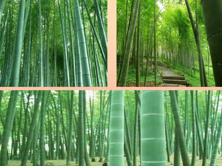 六年级语文下册 古诗词背诵 6竹石课件 新人教版_第1页