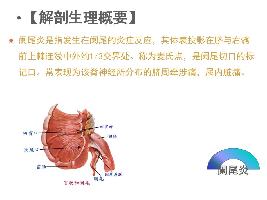 急性阑尾炎患者的护理-课件_第2页