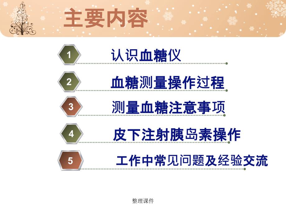 快速血糖监测皮下注射课件_第2页