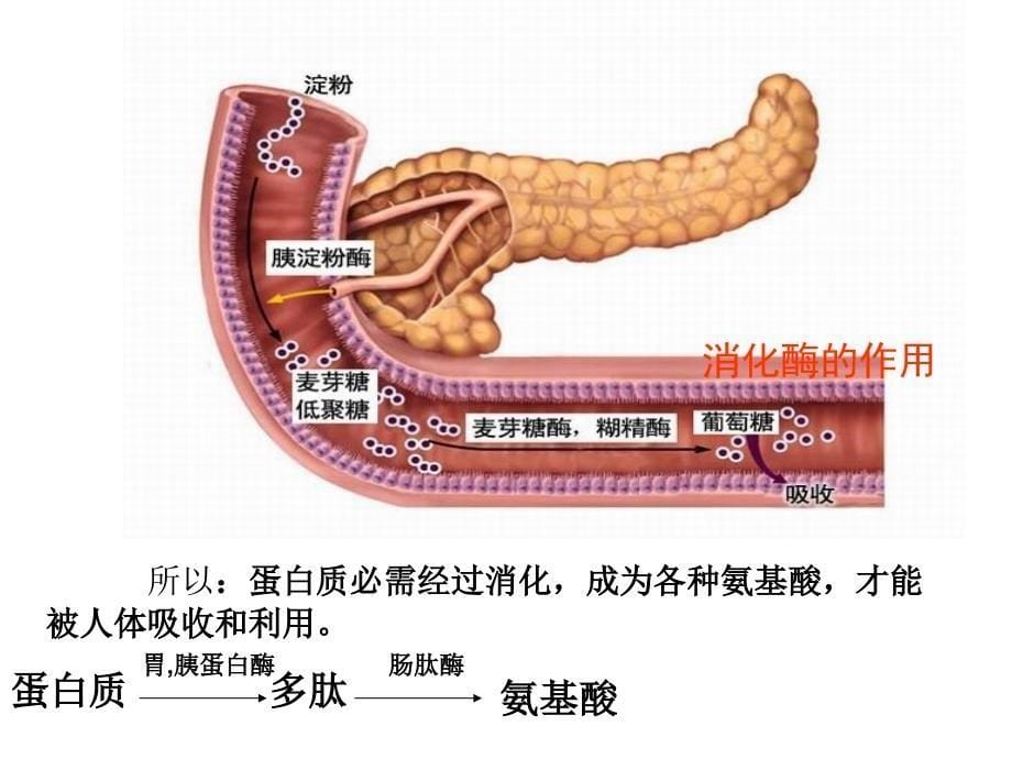 云溪区一中谢先勇课件_第5页