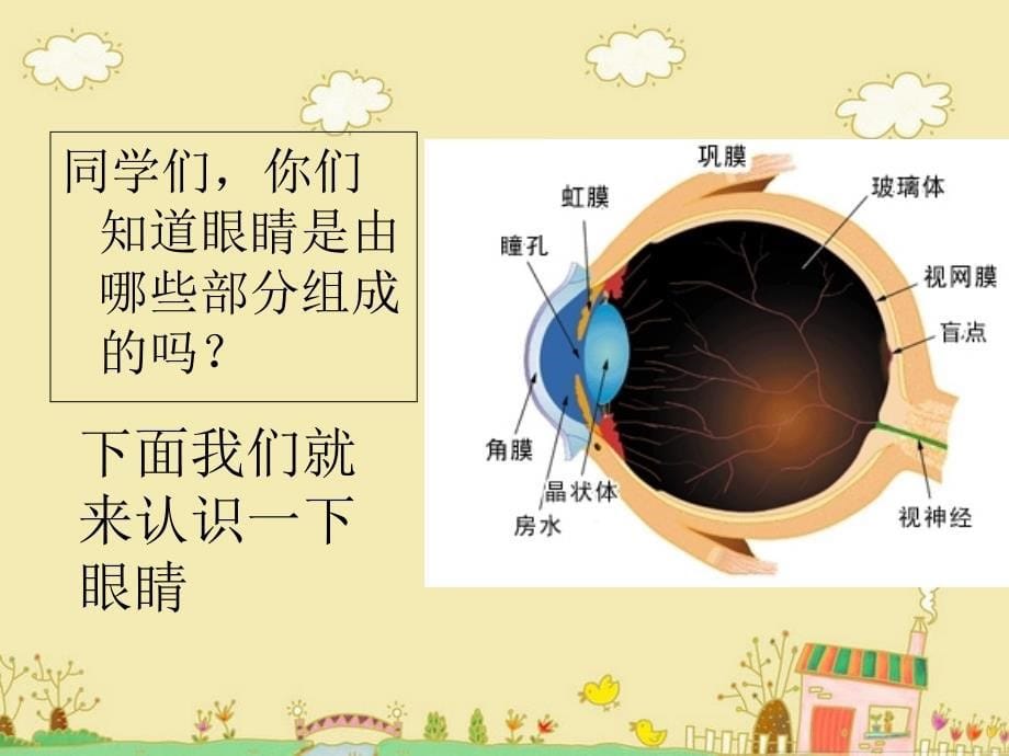 小学生视力健康教育_第5页