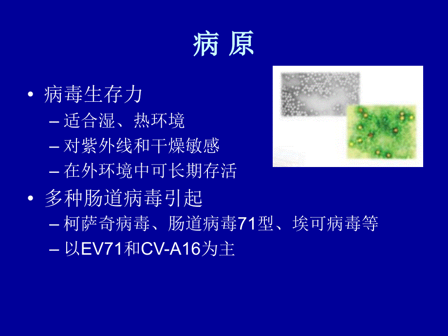 (儿科培训)手足口病_第4页