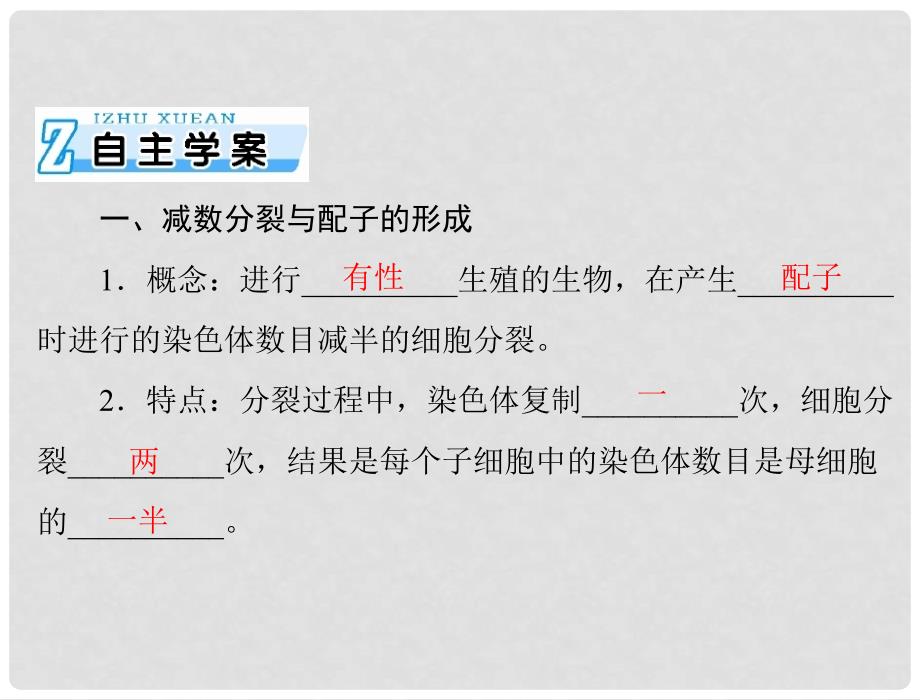 高考生物总复习 第2章 基因和染色体的关系 第1节 减数分裂和受精作用课件 新人教版必修2_第4页