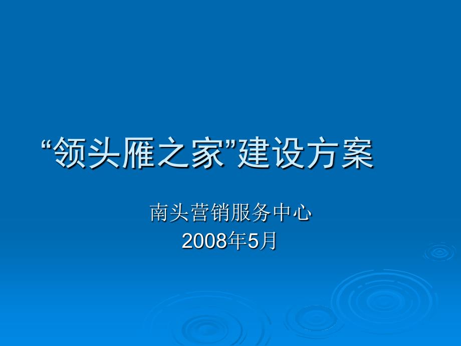 领头雁之家建设方案_第1页