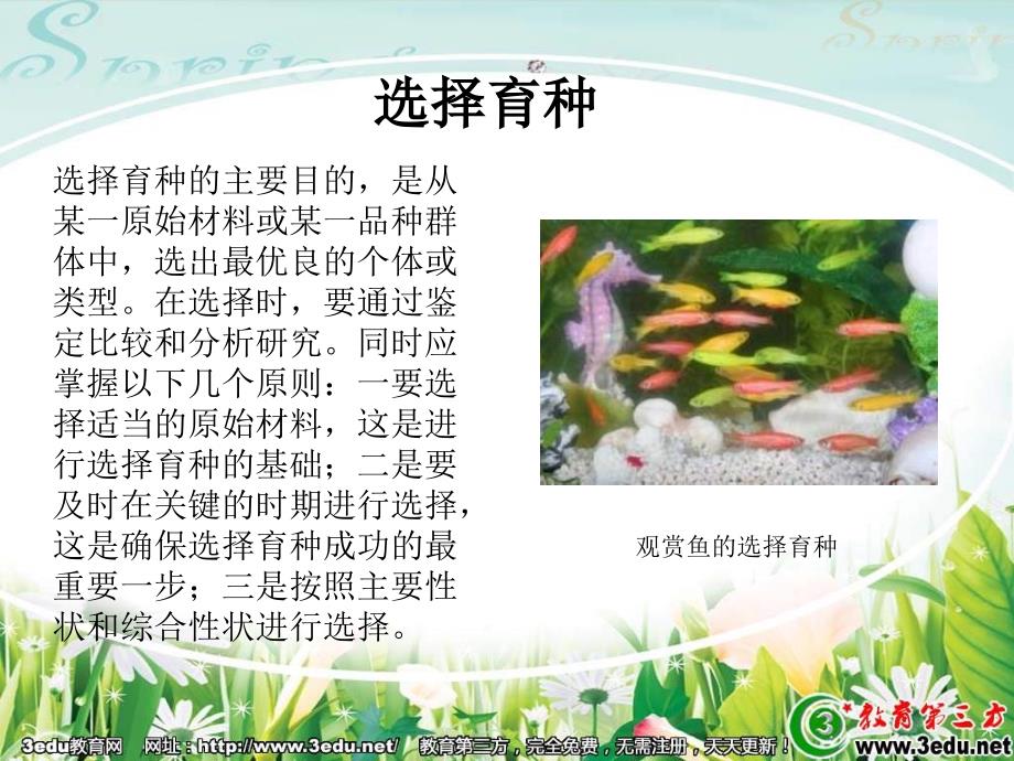 高一生物优良品种的培育和繁殖_第3页