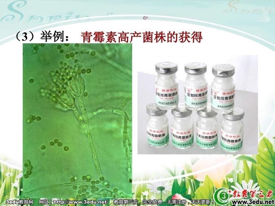 高一生物优良品种的培育和繁殖_第5页