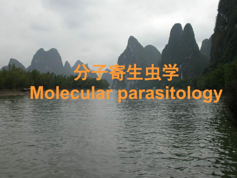 分子寄生虫学第一讲.ppt_第1页