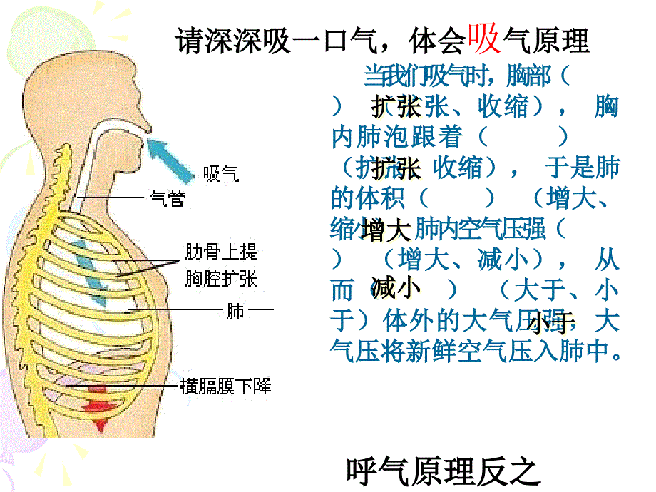 气体压强与体积的关系谢贞琦_第4页