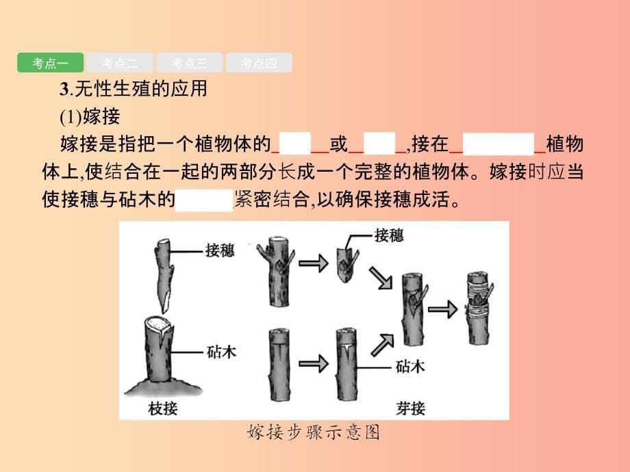 中考生物 第七单元 生物圈中生命的延续和发展 第18讲 生物的生殖和发育课件.ppt_第5页