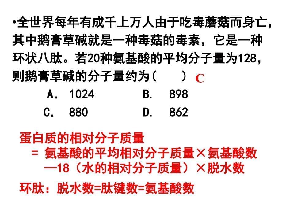 蛋白质专题复习_第5页