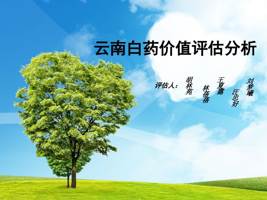 云南白药价值评估分析.ppt_第1页